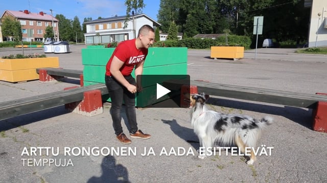Katso video: Aada-koira esittää isäntänsä kanssa temppuja – Arttu Rongonen teki sijoittamisharrastuksestaan ammatin