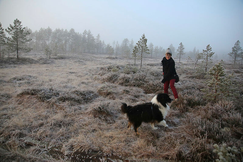 Yksi Satakuntaliiton vuosijuhlassa tunnustuksen saaneista on  Lauhanvuori-Hämeenkangas Geopark ry:n toiminnanjohtaja Terttu Hermansson, joka on kuvassa Taavi-koiran kanssa. Arkistokuva.