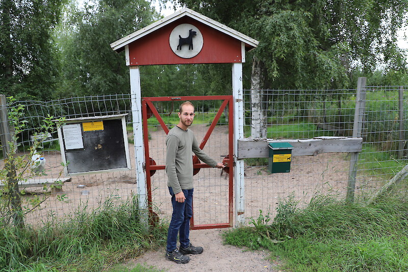 – Ikaalisten koirapuisto sulkee porttinsa huomenna torstaina, koska sen varrella olevalla Kamraatinkadulla alkaa remontti, kertoo Ikaalisten kaupunginpuutarhuri Kauri Kallio.