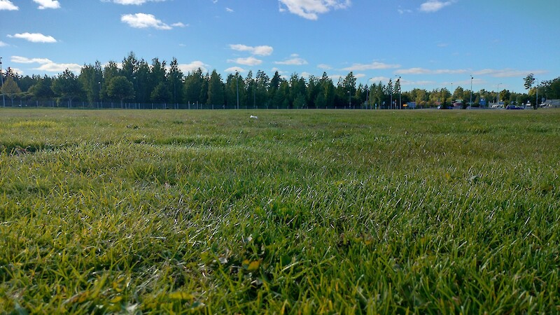 Kyröskosken urheilukentän nurmi on toipunut hitaasti kevättalvisista vaurioista.