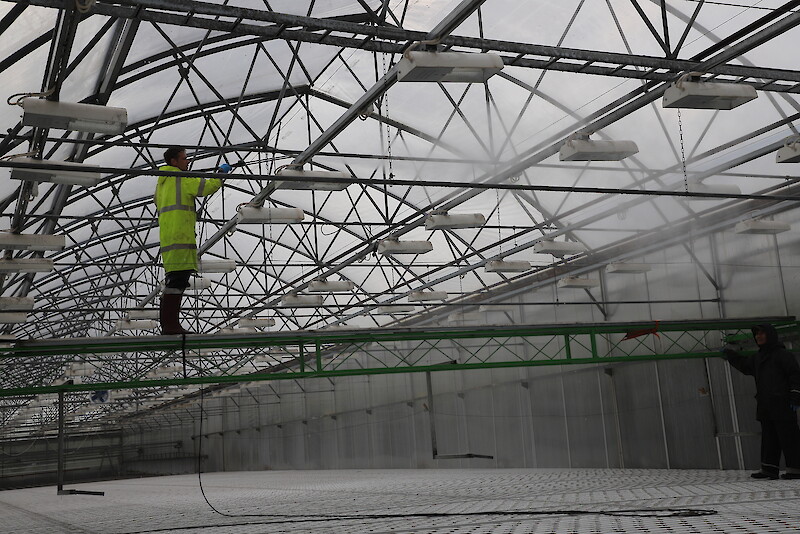 Ikaalisten Luomun kasvihuoneiden kattoja pestiin viime viikolla, jotta luonnonvalo pääsee mahdollisimman tehokkaasti kasvihuoneisiin. Pesua tekemässä Janis Poseika.