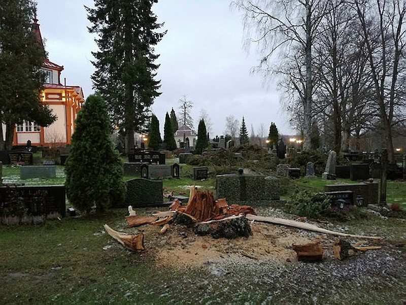 Syysmyrsky teki tuhoja Hämeenkyrön vanhalla hautausmaalla marraskuussa 2020. 
Kuva: UutisOivan arkisto.