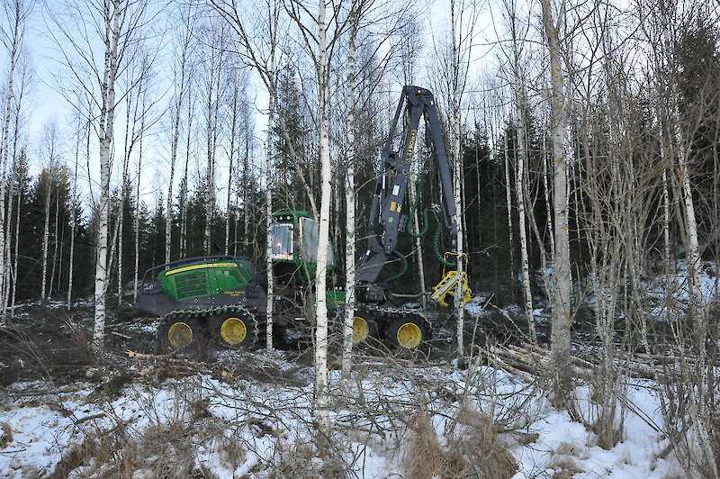 Kuva: UutisOivan arkisto. Puumarkkinatilanne on metsänomistajien kannalta varsin suotuisa, kysyntää on myös harvennus- ja energiapuulle.