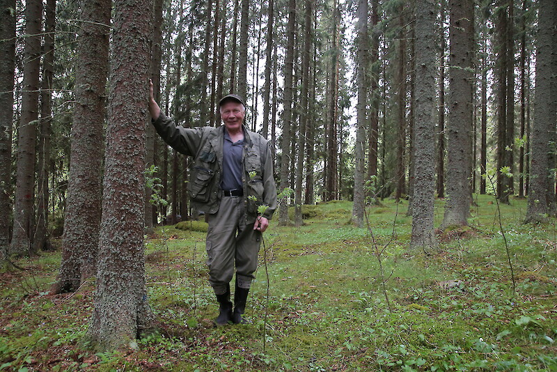 Tästä noin itsensä ikäisessä metsässä Matti Äijö raivasi vesakkoa jo alle kymmenvuotiaana, vaikka äiti yritti piilottaa häneltä vesuria. Sittemmin hän on toiminut metsäalalla yli 60 vuotta.