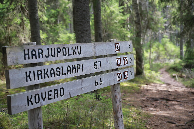 Osa Seitsemisen kansallispuistosta sijaitsee Ikaalisissa.