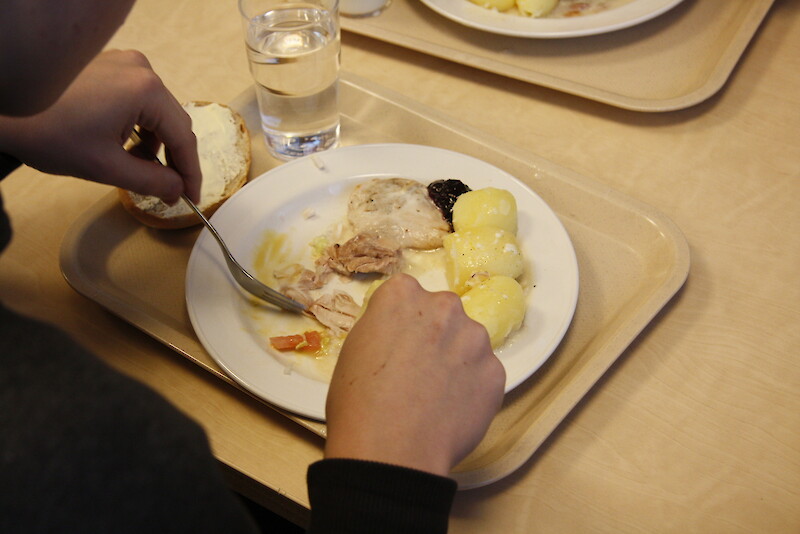 Jämijärven nuorisovaltuuston tekemässä valtuustoaloitteessa toivottiin muun muassa isompia ruoka-annoksia, välipaloja ja ruokalaan maustepöytää. Arkistokuva.