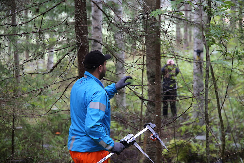 Metsäneuvoja Jaakko Kallio ja metsätalousinsinööriksi opiskeleva Laura Heinonen mittaavat Viljakkalassa puukarttaa metsävaratiedon pohjaksi.
