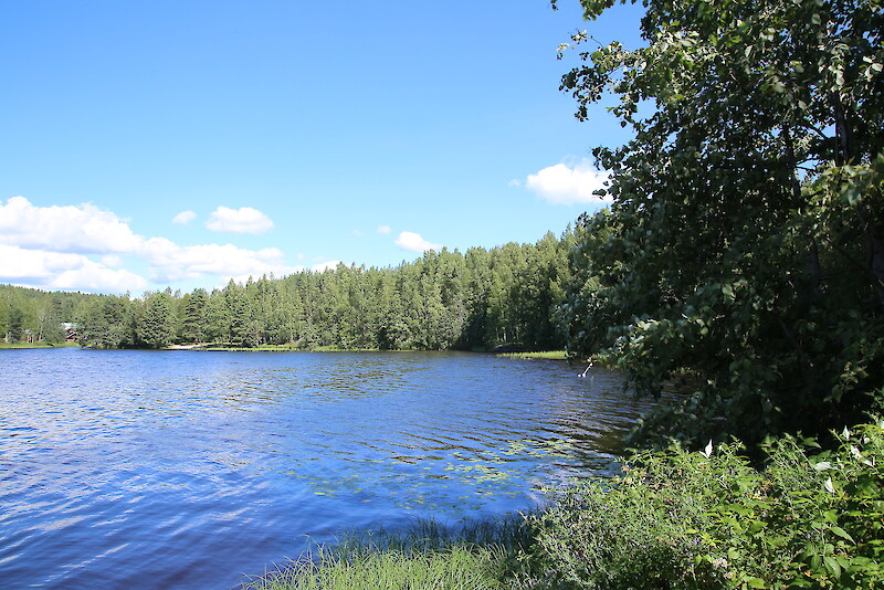 Luhalahden ja Iso-Röyhiön rantaosayleiskaava kattaa noin 2 800 hehtaarin alueen, josta yli puolet on vesialuetta. Kuva rantamaisemista Luhalahdesta.