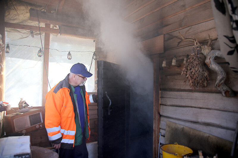 Reijo Pihlajamäki lisää aamulla ja iltapäivällä savusaunan pesään vähän kuivia leppätikkuja ja tuoretta leppää savun, muttei lämmön aikaansaamiseksi.
