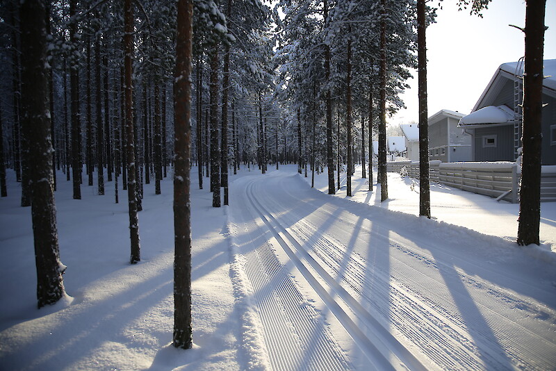Pirkkaa hiihdettiin muun muassa Viljakkalan Särkänmäen kautta. Kuva: UutisOivan arkisto