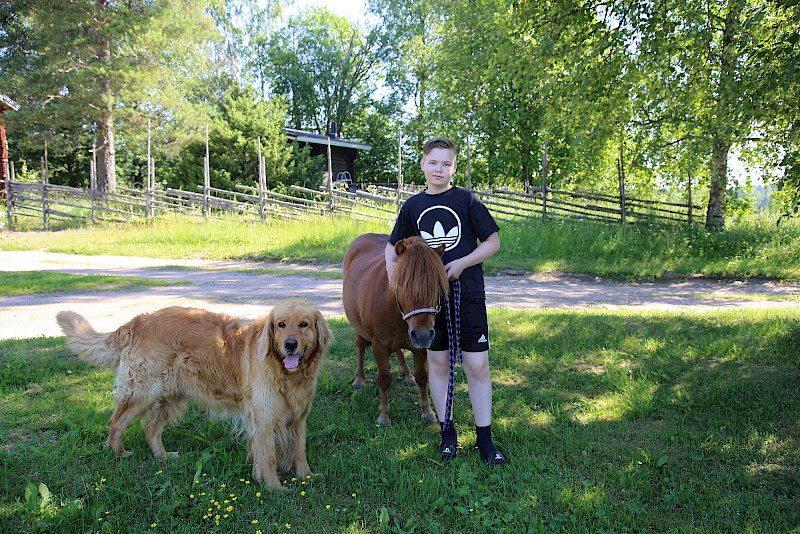 Veeti Ylitalo on huolehtinut Juhani-ponista neljä vuotta. Urho-koira vahtii kaikkia pihapiirin tapahtumia.