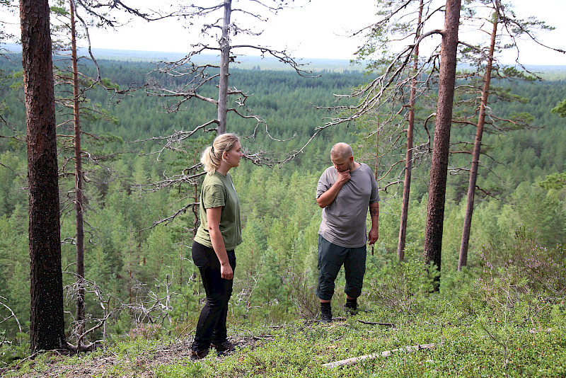 Kaisu-Leena Natunen ja Antti Tammi etsivät Vatulanharjulta kangasajuruohoa, joka kasvaa avoimessa, paahteisessa ja hiekkaisessa ympäristössä.