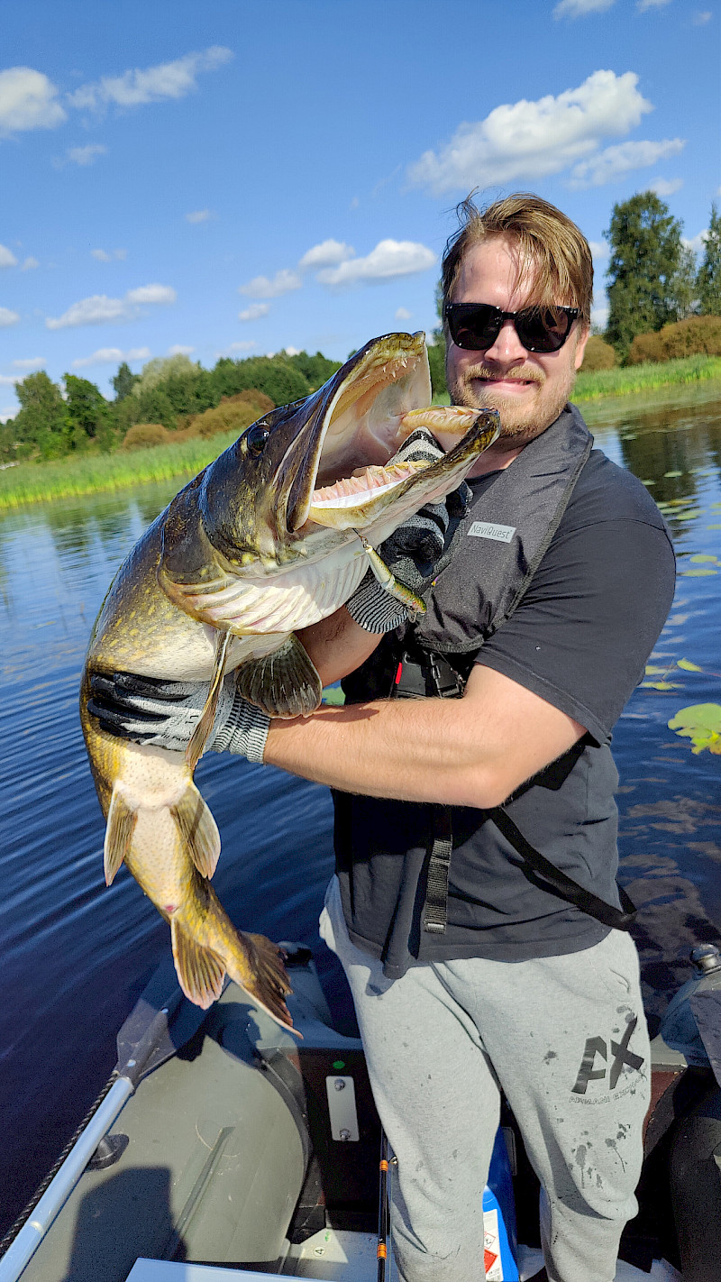 Henri Rahkonen pyydysti tämän jättihauen Jämijärvestä 6. elokuuta kello 11.30. Hauella oli painoa 13 kiloa ja pituutta noin 130 senttimetriä. Kuva: Juha Rahkonen.