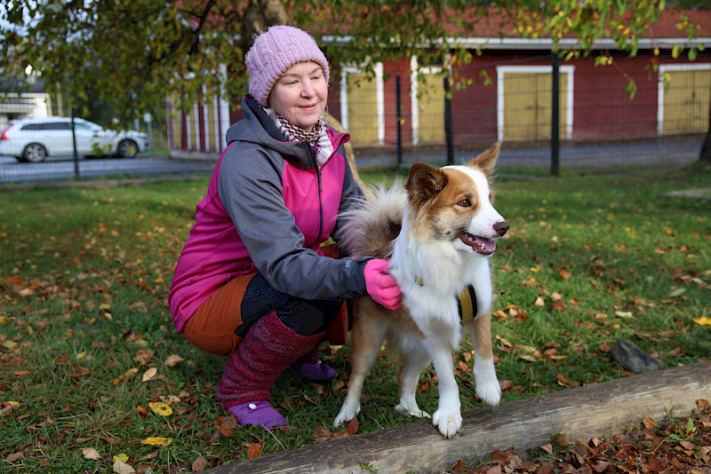 Vuoden vanha islanninlammaskoira Säde oli yksi eläinten päivän vieraista Heinijärven koululla. Säde saapui koululle emäntänsä Sari Salon kanssa.