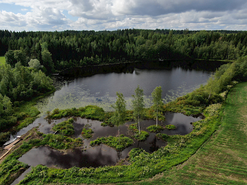 Luhalahden Pitkäjärven kosteikko. Kirjoittaja on huolissaan Pitkäjärven kaltaisten pienten järven oikeudellisesta asemasta.