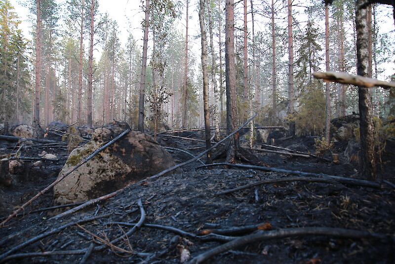 Hämeenkyrön palo huomattiin vasta savuhavaintona vaikean maaston takia. Palo oli syttynyt keskellä metsää kaukana tiestä.