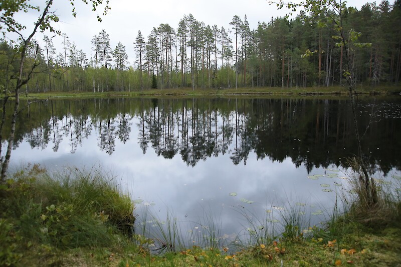 Syksyinen Pitkäjärven tyyni pinta on rauhoittava näky.