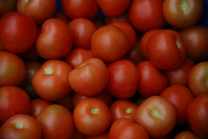 Tomaatteja Ikaalisten Luomun kasvihuoneelta.