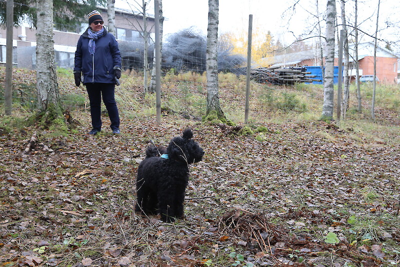 Hämeenkyrön Koirapuisto ry:n puheenjohtaja Hannele Nordfors kertoo puiston tulleen tarpeeseen.