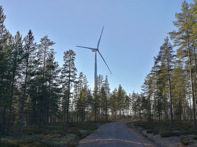 Kuva Jämijärven Ratiperän tuulivoimalapuistosta.