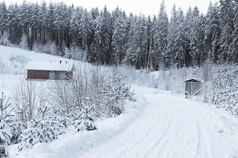 Vaasan hallinto-oikeus punnitsi, kuinka lähellä Ulvaanharjun vedenottamoa voidaan ottaa maa-aineksia. Arkistokuva.