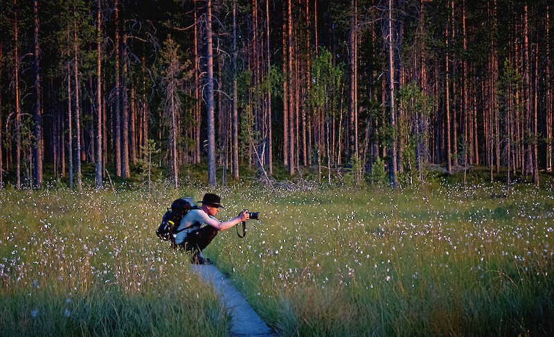 Ikaalilaissyntyinen Tomi Rantanen on kiertänyt kansallispuistot moneen kertaan. Kuva Rautavaaralta Tiilikkajärven kansallispuistosta.