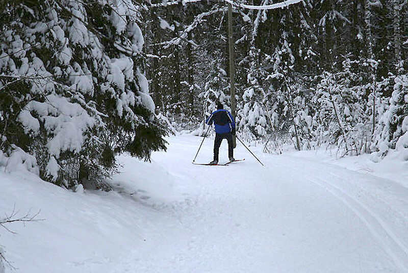 Kirjoittajan mielestä metsien säästäminen lisää alueen vetovoimaisuutta. Arkistokuva.