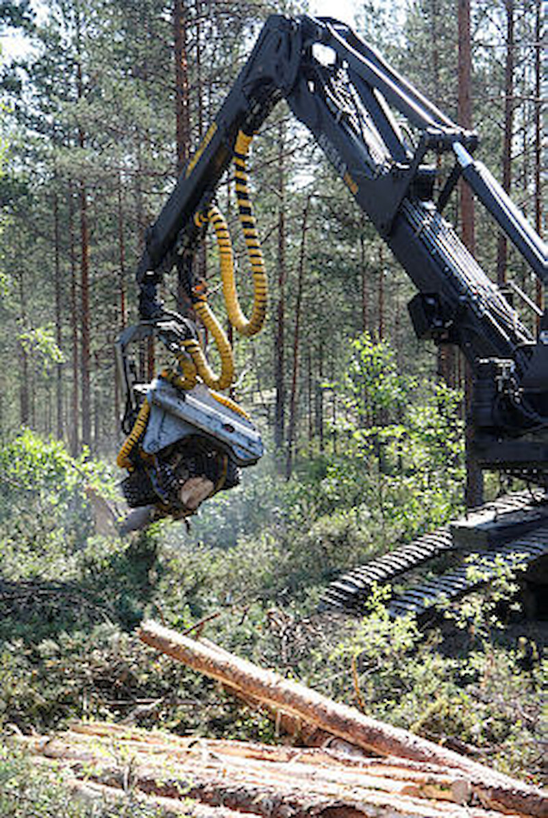 Kirjoittajan mielestä metsäkeskustelussa pitää muistaa, että hakkuut tuovat hyvinvointia työpaikkojen kautta. Arkistokuva.