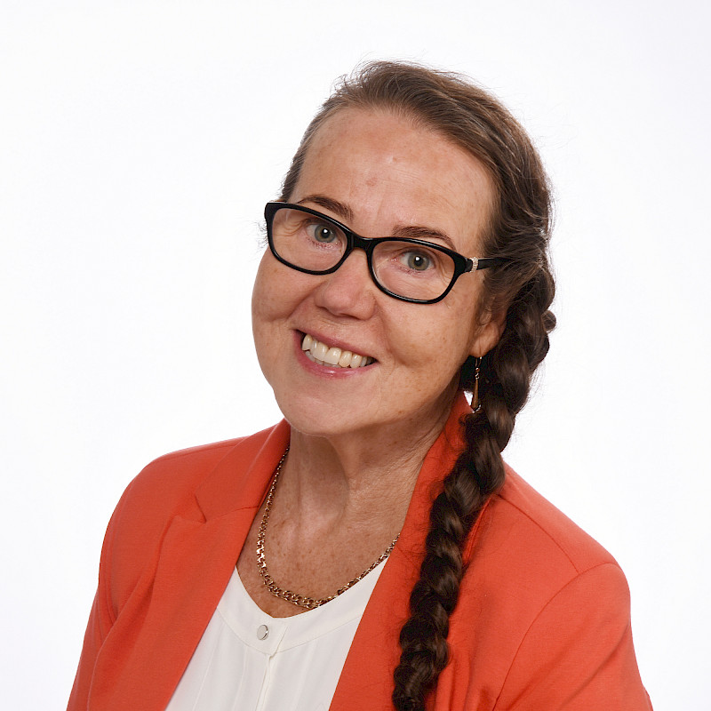 Katariina Pylsy valittiin aluevaltuustoon vuonna 2022.